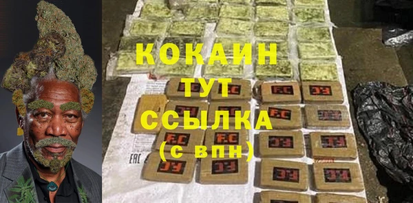 дживик Навашино