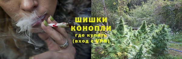 дживик Навашино