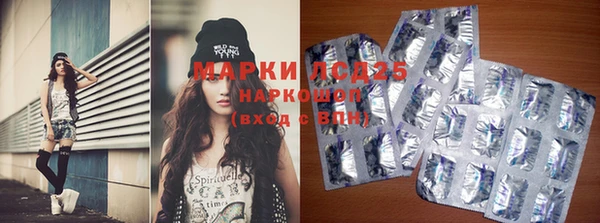 ALPHA PVP Нефтекумск