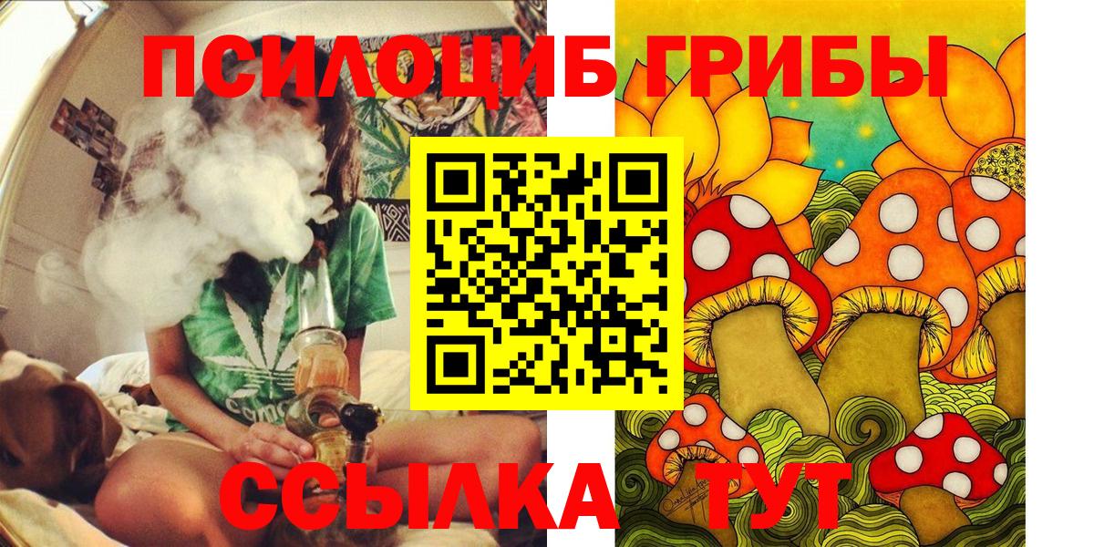Галлюциногенные грибы GOLDEN TEACHER Надым